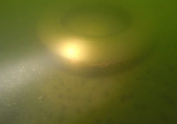 Международный день очистки водоемов 2017