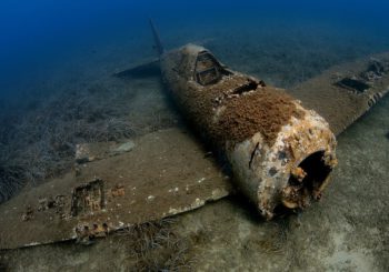 Погружение останкам самолёта P-47 Thunderbolt