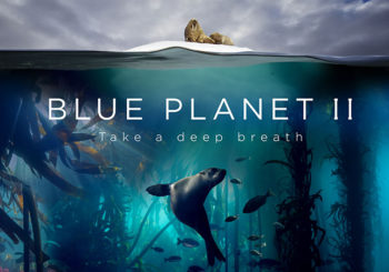BBC и новый сериал о подводном мире «Blue Planet II»
