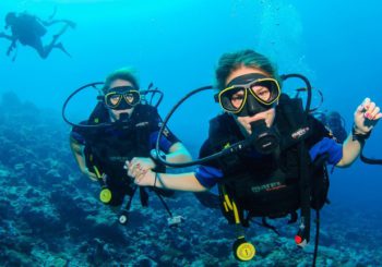 «Why I Dive» — история любви к дайвингу