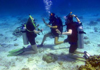 PADI Travel — сервис для поиска информации и подбору дайвинг-тура