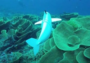 This Wiggly Robotic Fish — самый продвинутый подводный робот