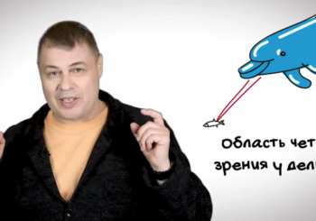 Интервью с Иваном Затевахиным