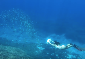 Акваскутер Sublue WhiteShark Aqua Blue