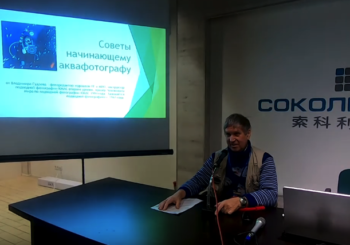 Принципы и правила аквафотографии. Мастер-класс Владимира Гудзева