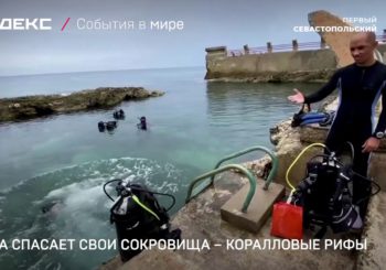 Куба спасает свои коралловые рифы