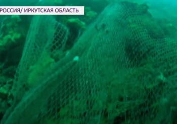 Дайверы очищают дно Байкала от мусора