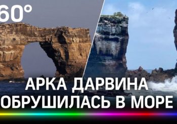 На Галапагосах обрушилась знаменитая Арка Дарвина