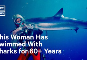 85-летняя Валери Тейлор примет участие в шоу Shark Fest 2021