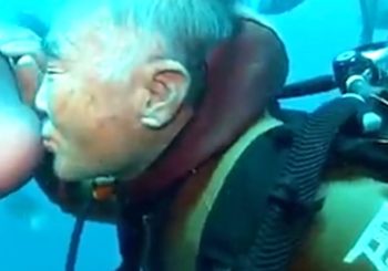 Дайвер из Японии 30 лет навещает спасённую рыбу под водой
