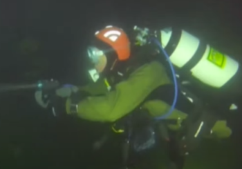 Дайверы сняли на видео байкальское сафари