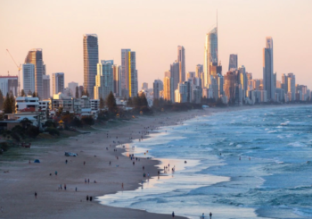 Пересадка кораллов приносит новую жизнь рифам Квинсленда