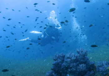 Симиланские острова