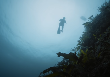 Как корейские женщины-фридайверы борются за выживание