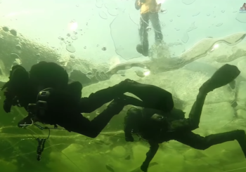 Анонс новинок для дайвинга на Московском Дайв Шоу 2022