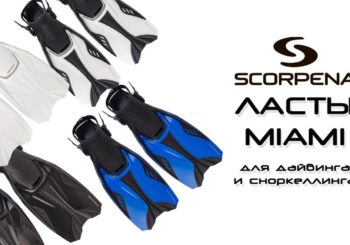 Ласты Scorpena Miami