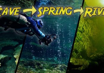 Дайвинг в системе Devil’s Spring в Джинни Спрингс во Флориде