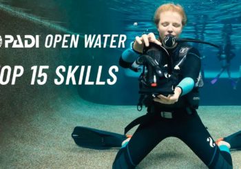 PADI Open Water Skills  — 15 лучших навыков для изучения