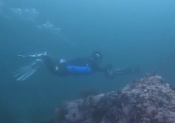 Дайвинг в сухом костюме. Варианты сухих костюмов с DUI Drysuits